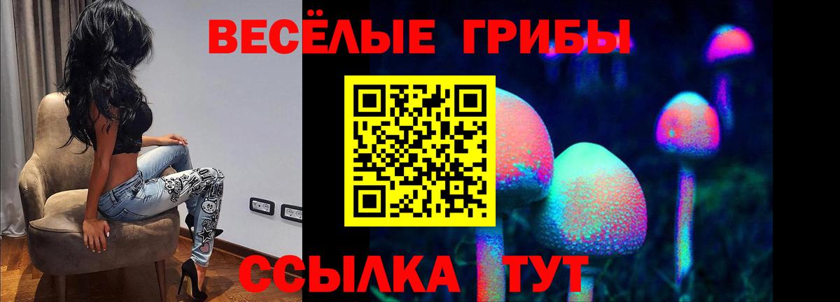Псилоцибиновые грибы прущие грибы  Вход с VPN  Новокубанск  Галлюциногенные грибы MAGIC MUSHROOMS 